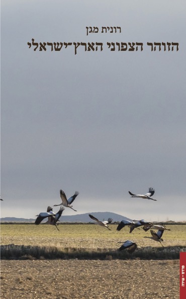 הזוהר הצפוני הארץ־ישראלי