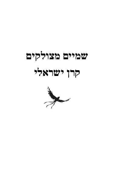 שמיים מצולקים