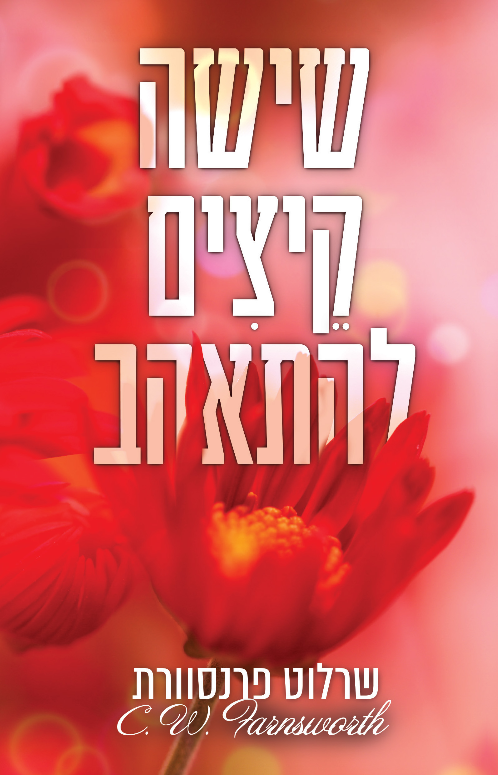שישה קיצים להתאהב