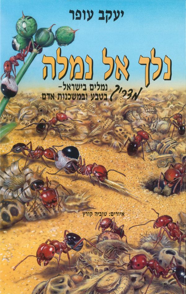 נלך אל נמלה