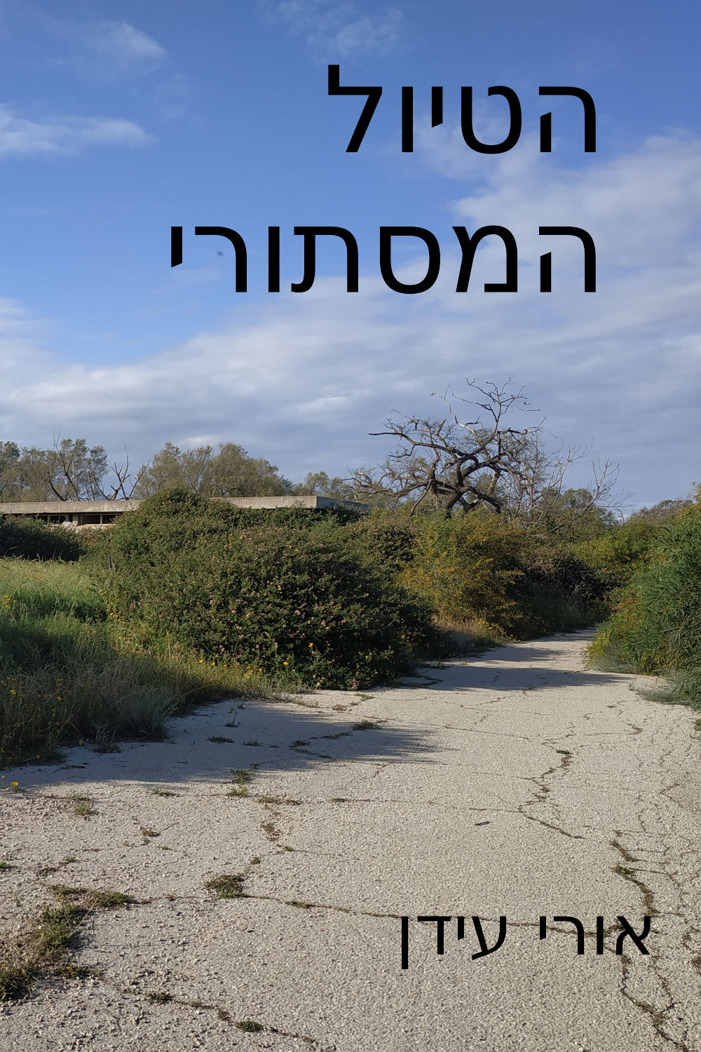 הטיול המסתורי