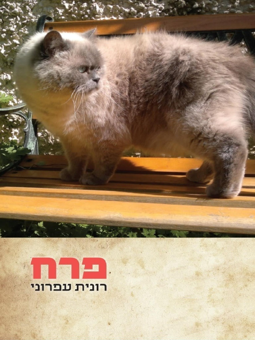 פרח