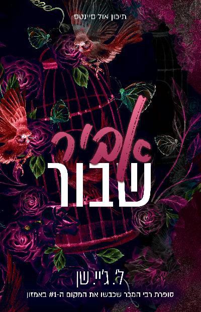 אביר שבור