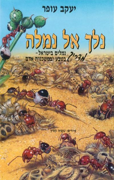 נלך אל נמלה
